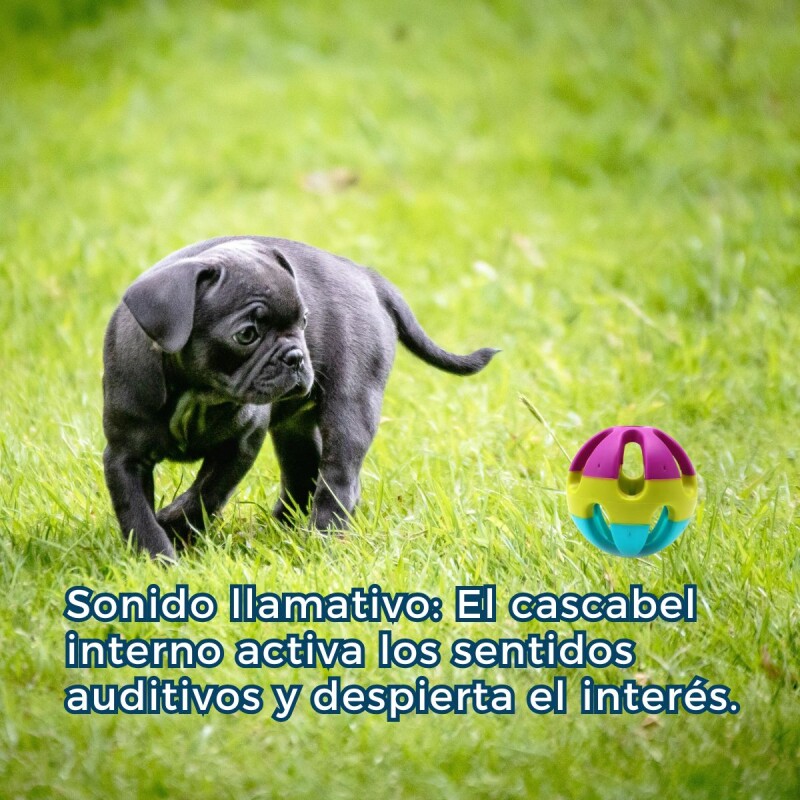 PELOTA TRICOLOR CON CASCABEL PARA PERROS PELOTA TRICOLOR CON CASCABEL PARA PERROS