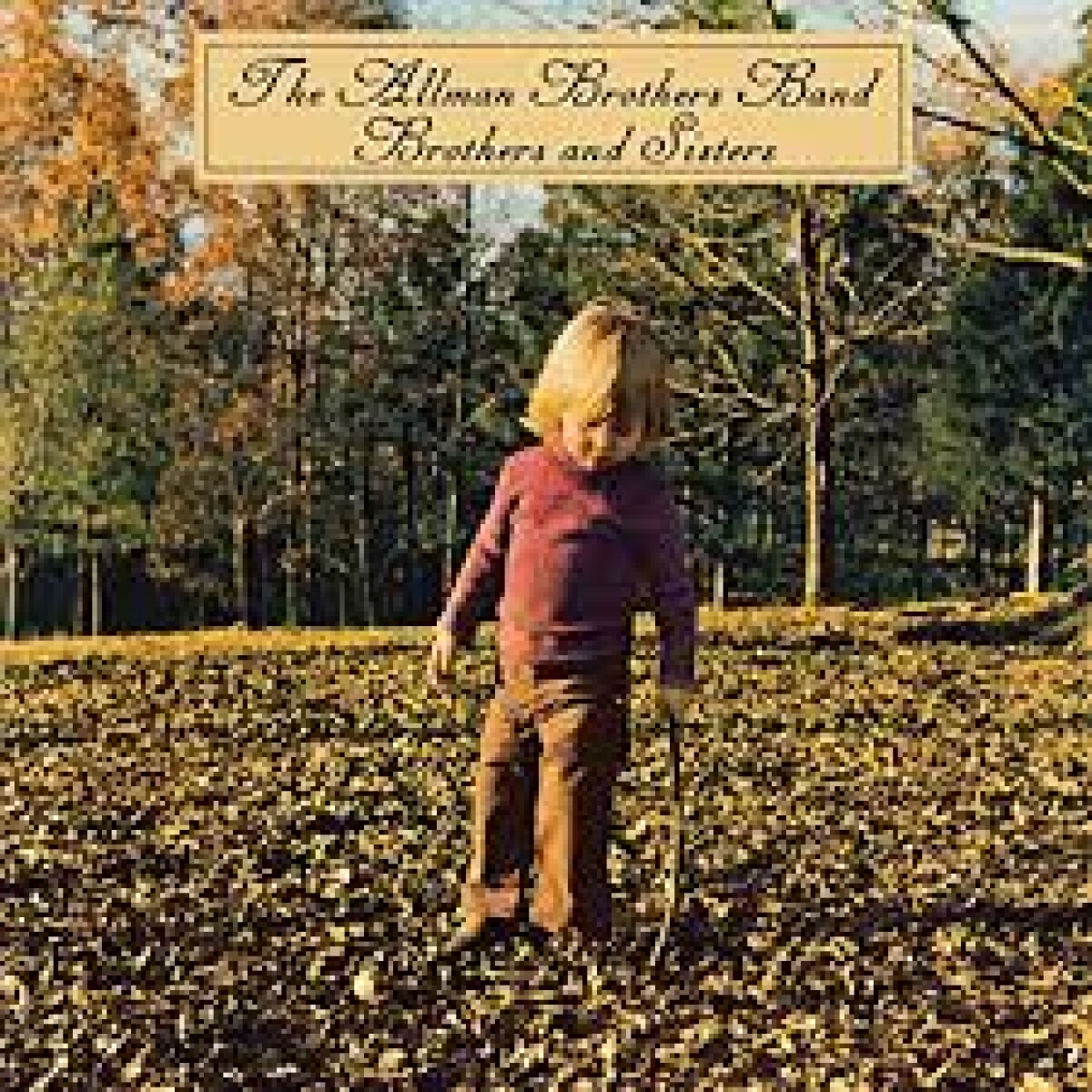 (l) Allman Brothers-brothers & Sisters - Vinilo 