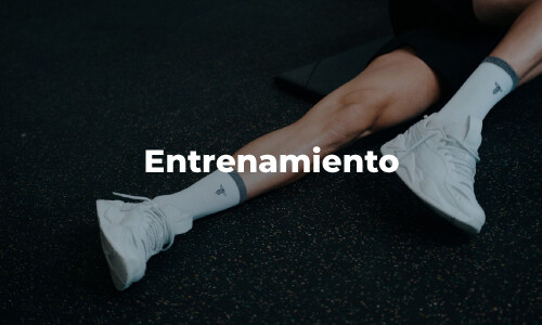 Entrenamiento