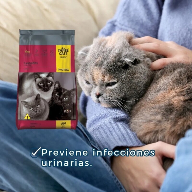 THREE CATS CASTRADOS 10,1 KILOS + RATÓN EQUILIBRISTA + 1KG DE REGALO
