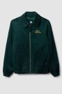 MILLER JACKET Verde