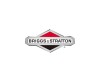 Motor Briggs & Stratton