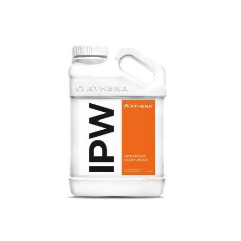 ATHENA IPW 950ML | POR ENCARGUE ATHENA IPW 950ML | POR ENCARGUE