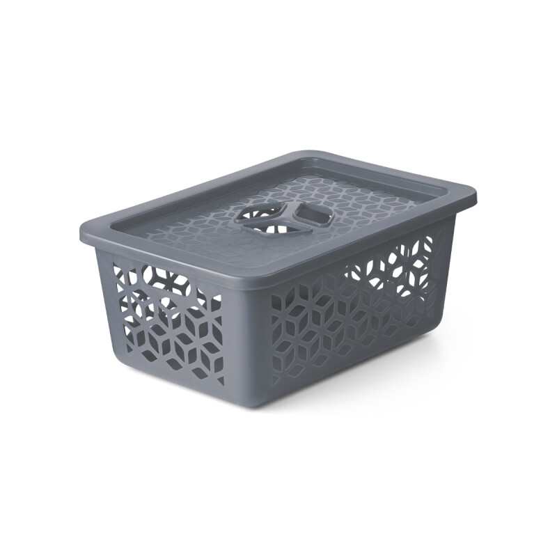 Caja organizadora con tapa M 5L GRIS