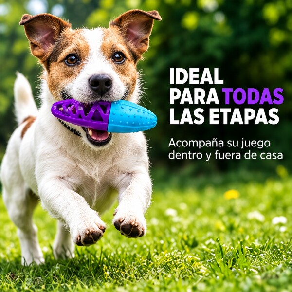 Juguete Morder Perros Gatos Limpieza Dental Golosinas Premio Celeste Violeta