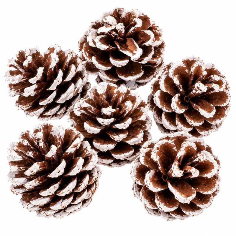 Piñas Navideñas x 6 Piñas Navideñas x 6
