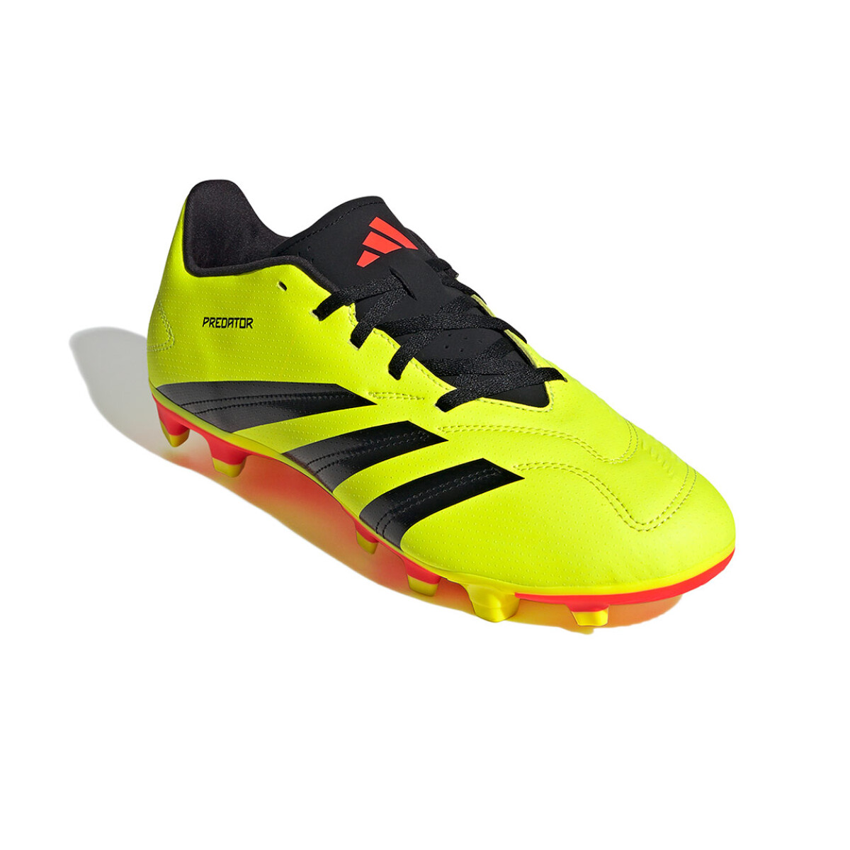 Adidas Predator Club Fxg - Verde 