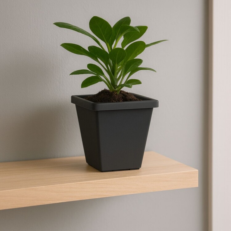 MACETA AZTECA PIRAMIDAL 4 LITROS NEGRO MACETA AZTECA PIRAMIDAL 4 LITROS NEGRO