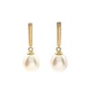 Caravanas Perlas colgantes - Oro bajo - Perla de río- CA8218 conperla