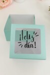 Caja flexi 20x20x9,5. c/visor impreso VERDE AGUA - LISO