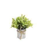 PLANTA ARTIFICIAL 20x8CM PLANTA ARTIFICIAL 20x8CM