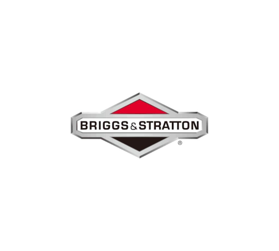 Motor Briggs & Stratton