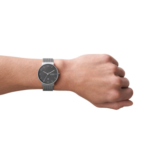 Reloj Skagen Clasico Acero Gris 0