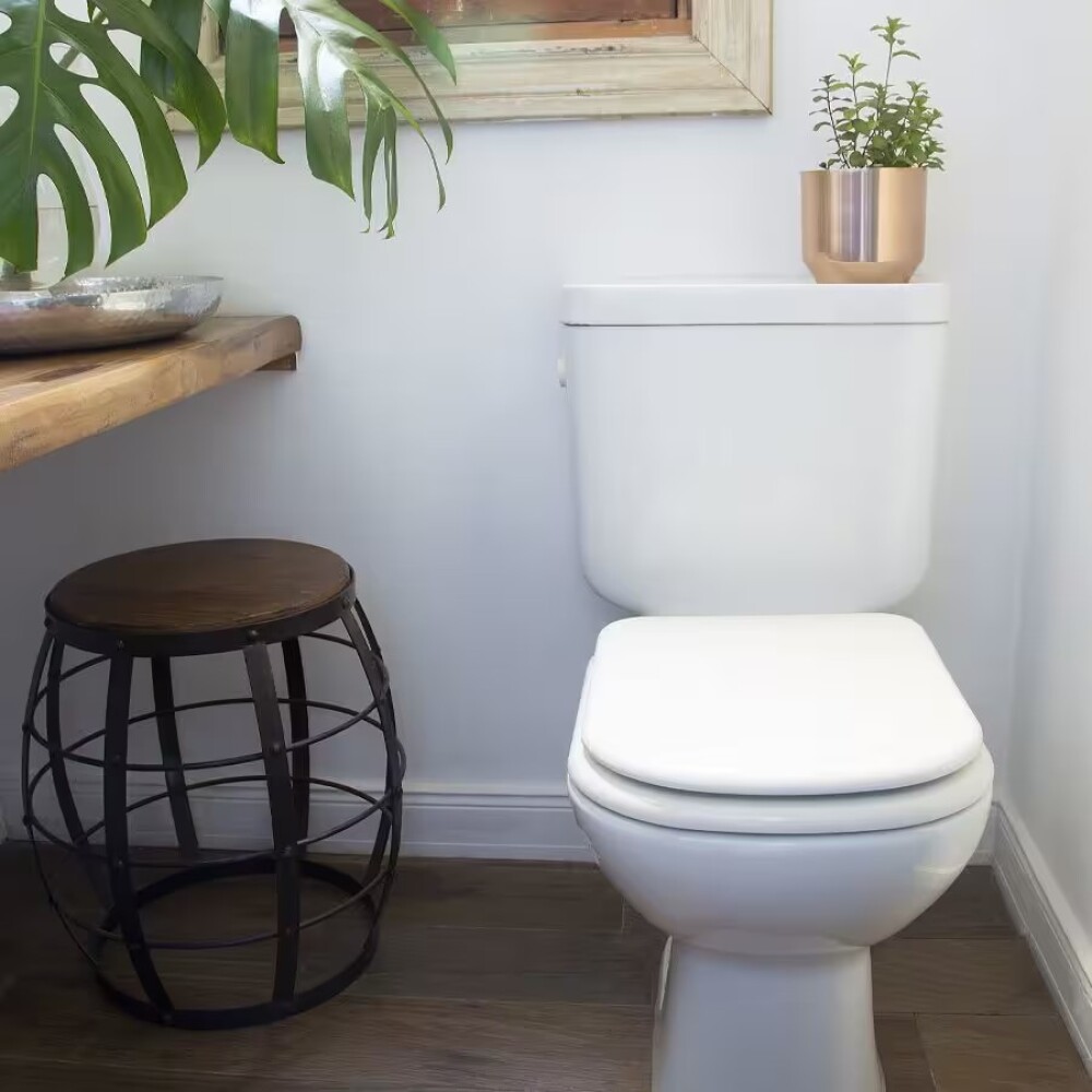 Inodoro con mochila Bari Ferrum 25 cm Inodoro Con Mochila Bari Ferrum 25 Cm