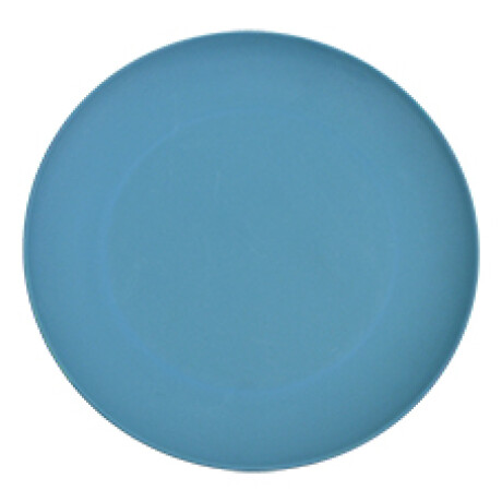 PLATO POSTRE PLASTICO COLOR AZUL LISO 19.5X1.6CM 27976 PLATO POSTRE PLASTICO COLOR AZUL LISO 19.5X1.6CM 27976