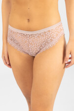 Colaless gazania Beige