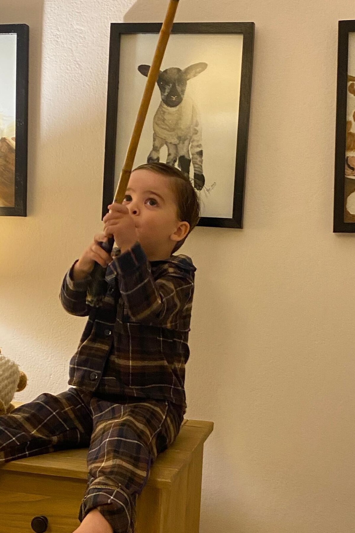 Mini Sleepwalker Marrón / Azul