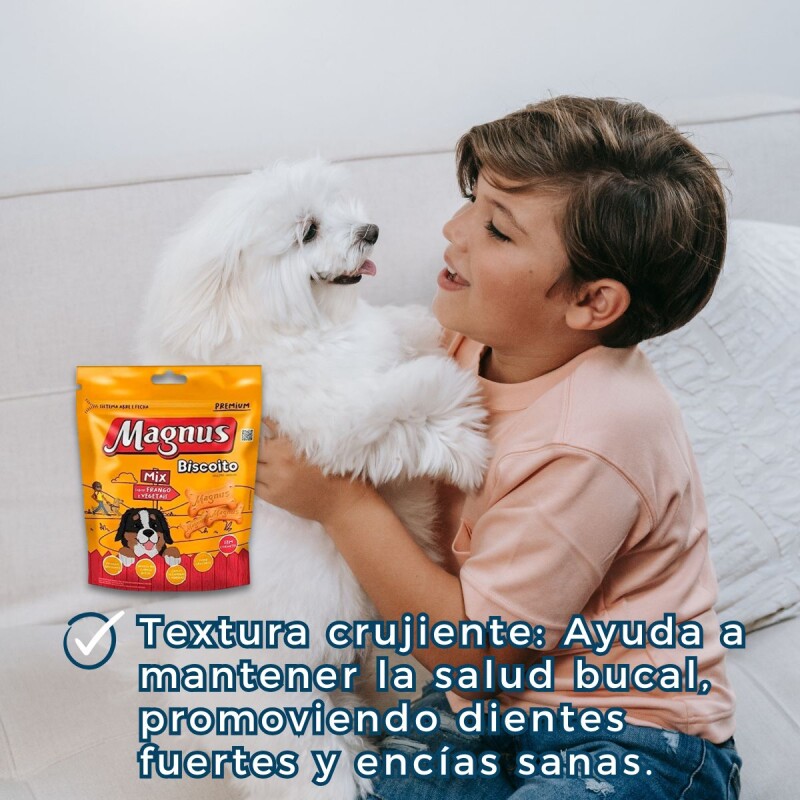 GALLETAS MAGNUS 1 KG GALLETAS MAGNUS 1 KG