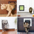 Puerta Para Ingreso Salida Mascotas Perro Gato Ventana S Variante Color Marron