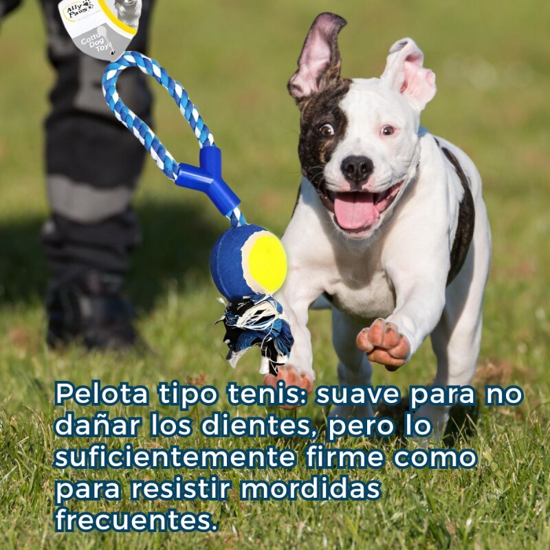 JUGUETE CON CUERDA Y PELOTA PARA PERROS JUGUETE CON CUERDA Y PELOTA PARA PERROS
