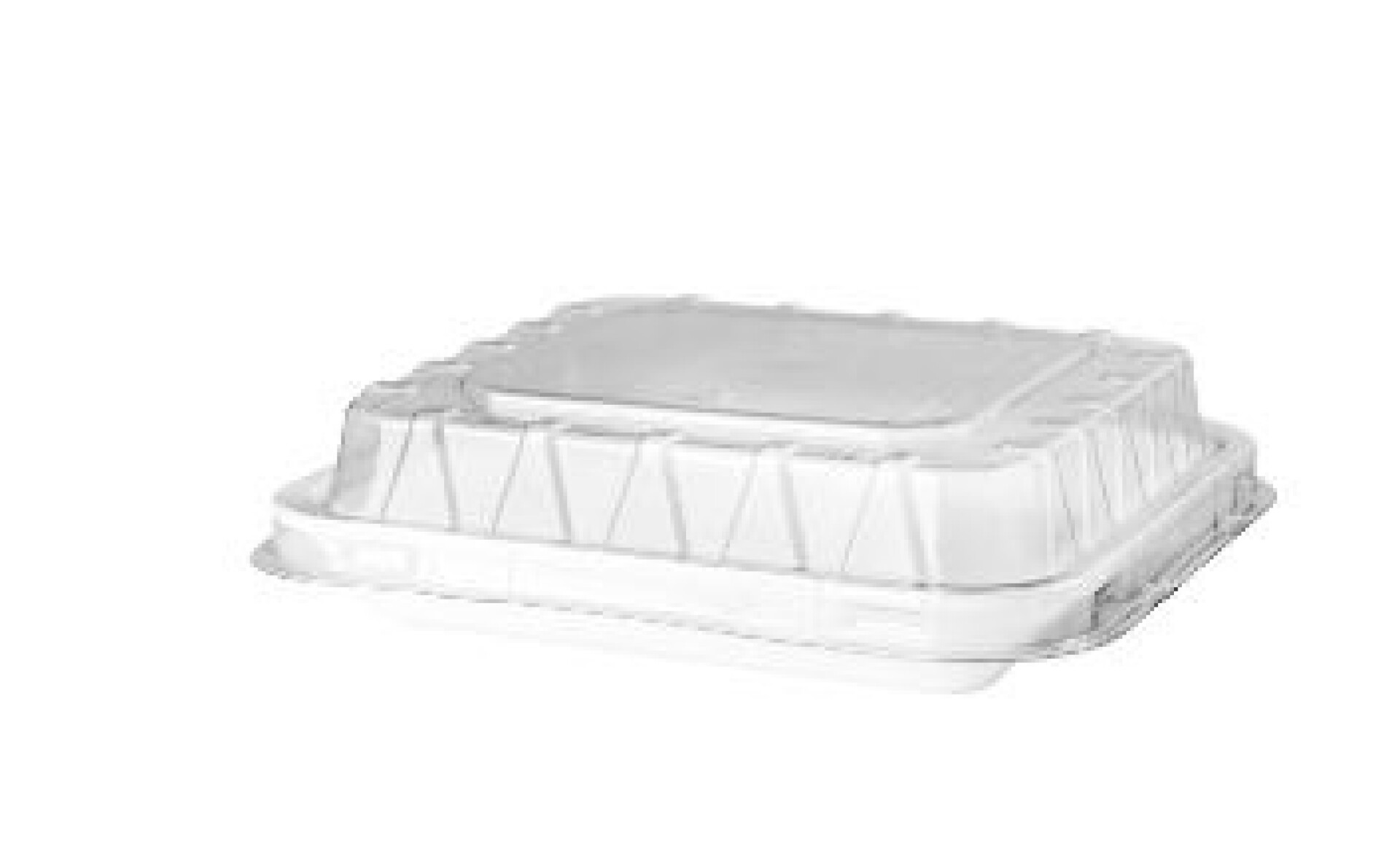 BANDEJA DE ESPUMA CON TAPA PET 21X14X4 CM. 