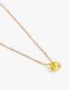 Cadena Corta con Dije Resina Collar Dije Flor Resina - Dorado