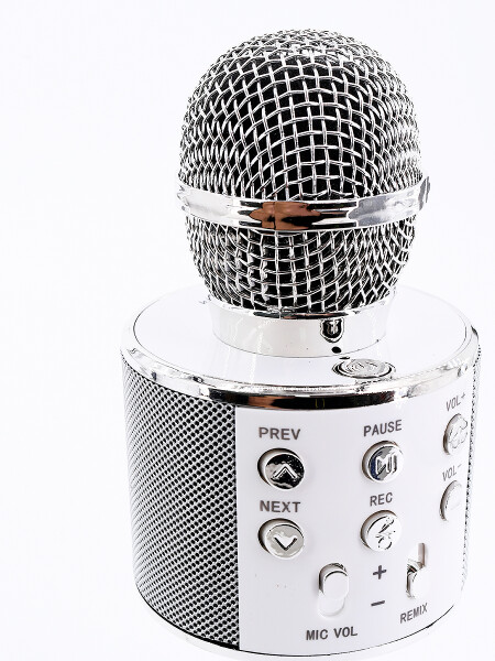 MICROFONO USB PLATEADO