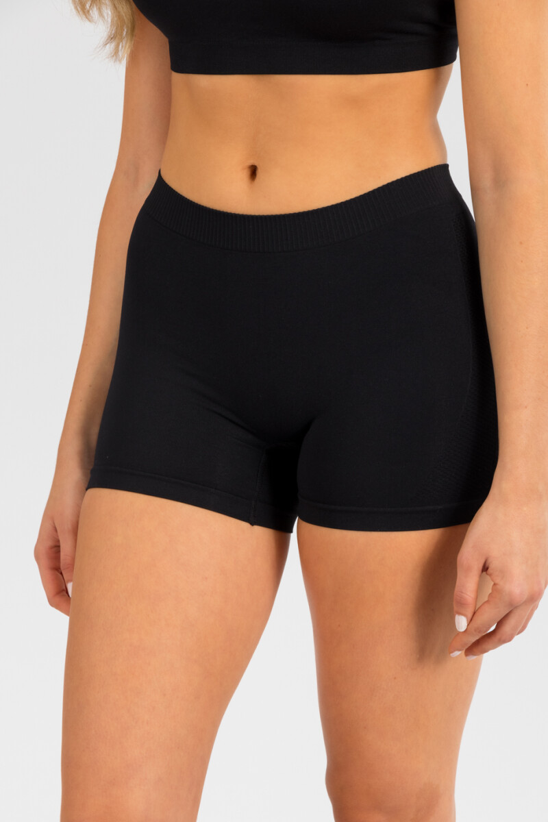 Boxer chicory - Negro 