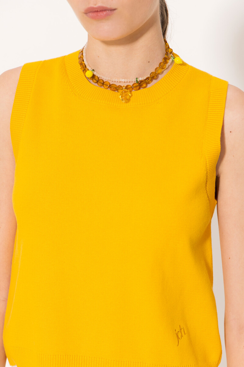 TOP AVI Amarillo