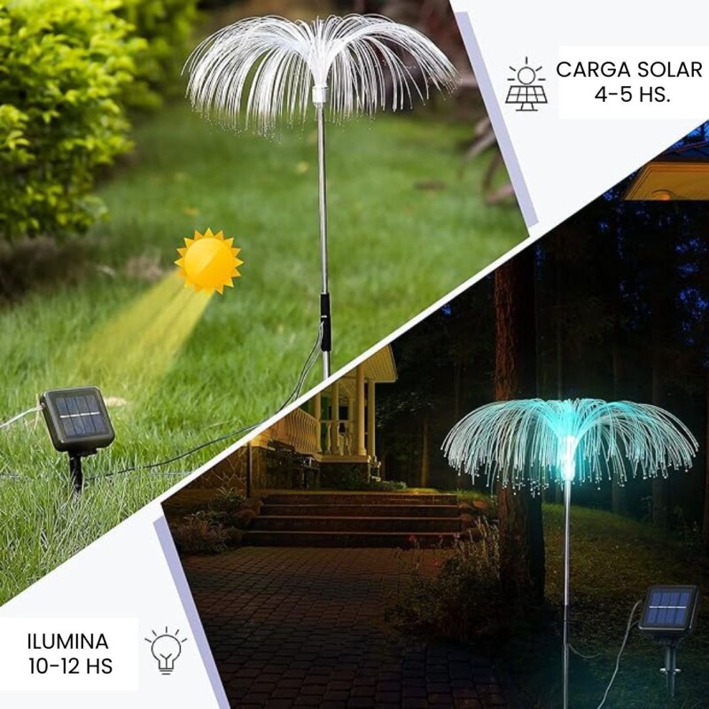 Medusas solares decorativas N/a