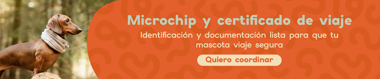 MicroChip