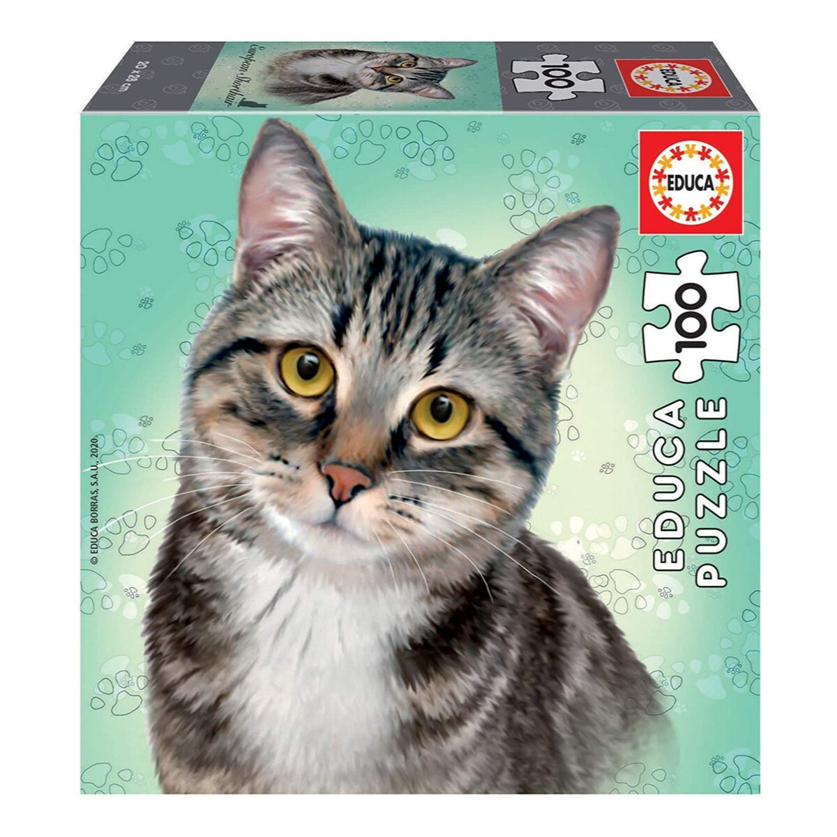 Puzzle 100 Piezas Gato Shorthair Rompecabezas Gatito Educa 