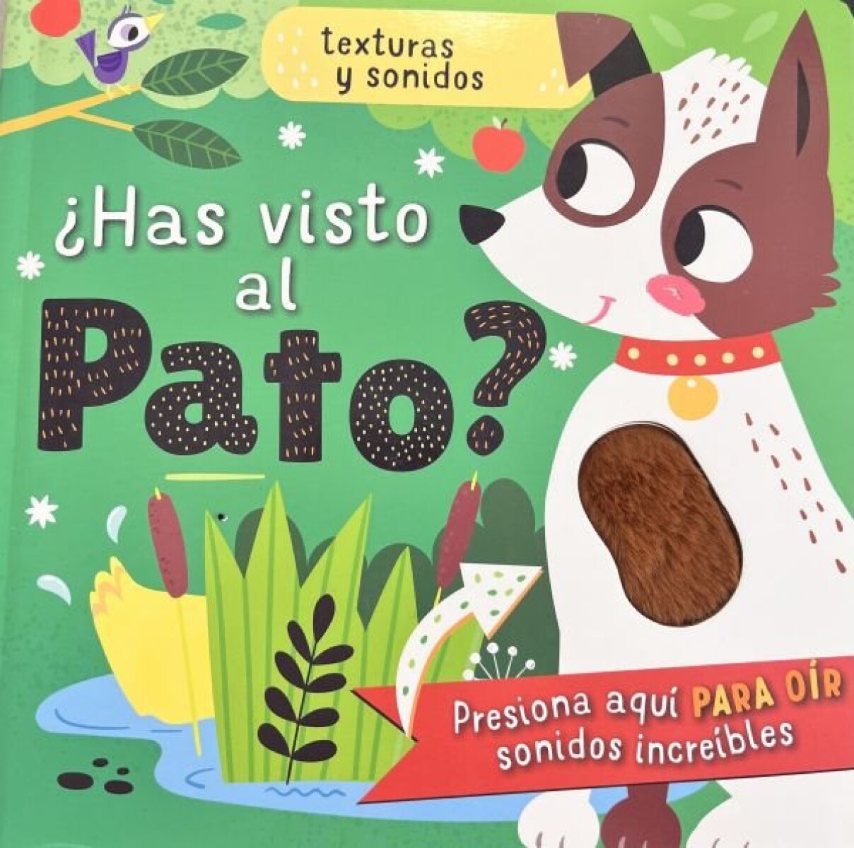 HAS VISTO AL PATO? - TOCA Y SIENTE 