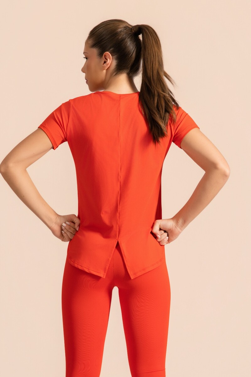 Remera de Microfibra. Remera de Microfibra.