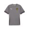Camiseta Puma Teamgoal Matchday 13