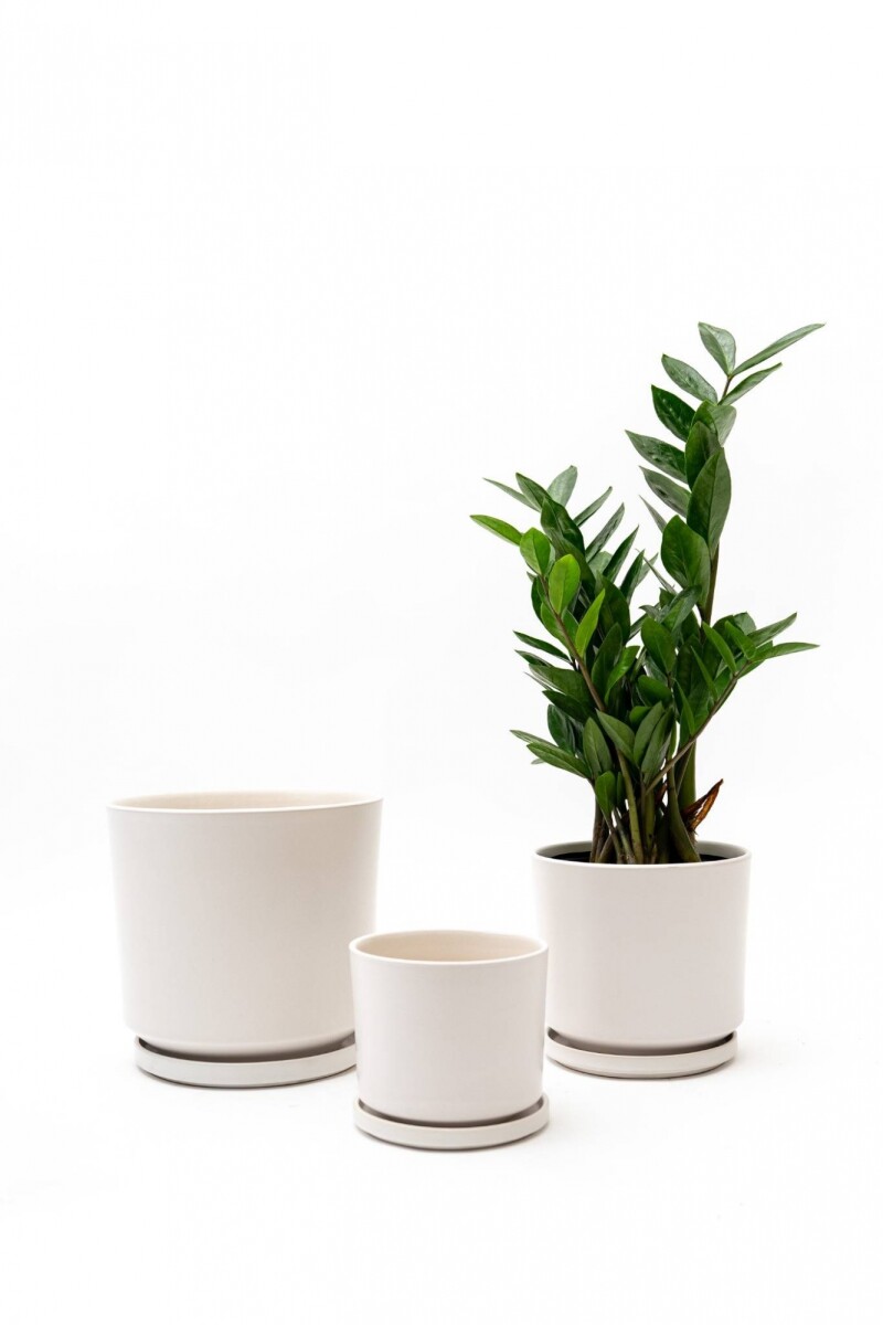 SET 3 MACETAS CERAMICAS CON PLATO - BLANCAS 