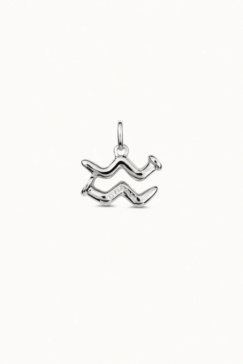 AQUARIUS PLATA / PLATEADO