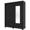 PLACARD DVN B66 2Ptas Corredizas c/Espejo Negro- 261247003 Sin color