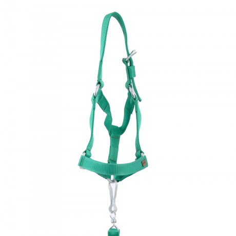bozal con cabresto de cinta verde