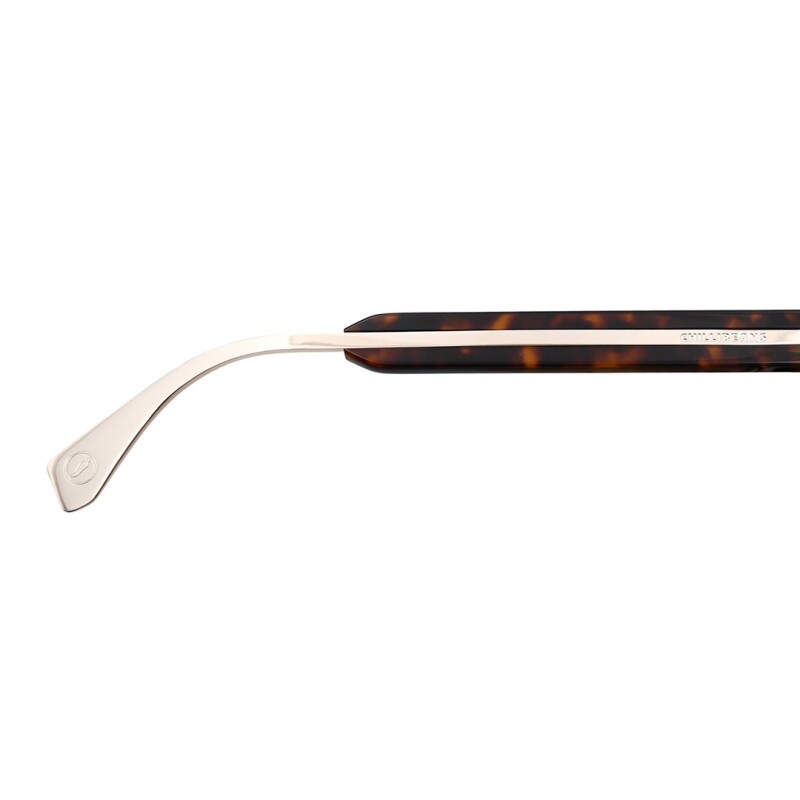 Lentes de Sol Chilli Beans Careiro Animal Print