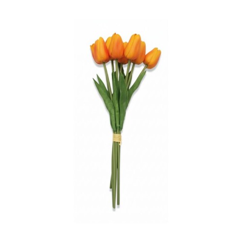 Ramo 9 Tulipanes - Naranja Ramo 9 Tulipanes - Naranja