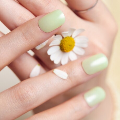 UÑAS EN GEL LISTAS (PRESS ON) - JOY GREEN UÑAS EN GEL LISTAS (PRESS ON) - JOY GREEN