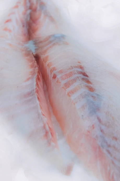 Filete de Palometa 500 g