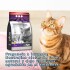 ARENA AGLOMERANTE CAT FUN LAVANDA 4 KGS ARENA AGLOMERANTE CAT FUN LAVANDA 4 KGS