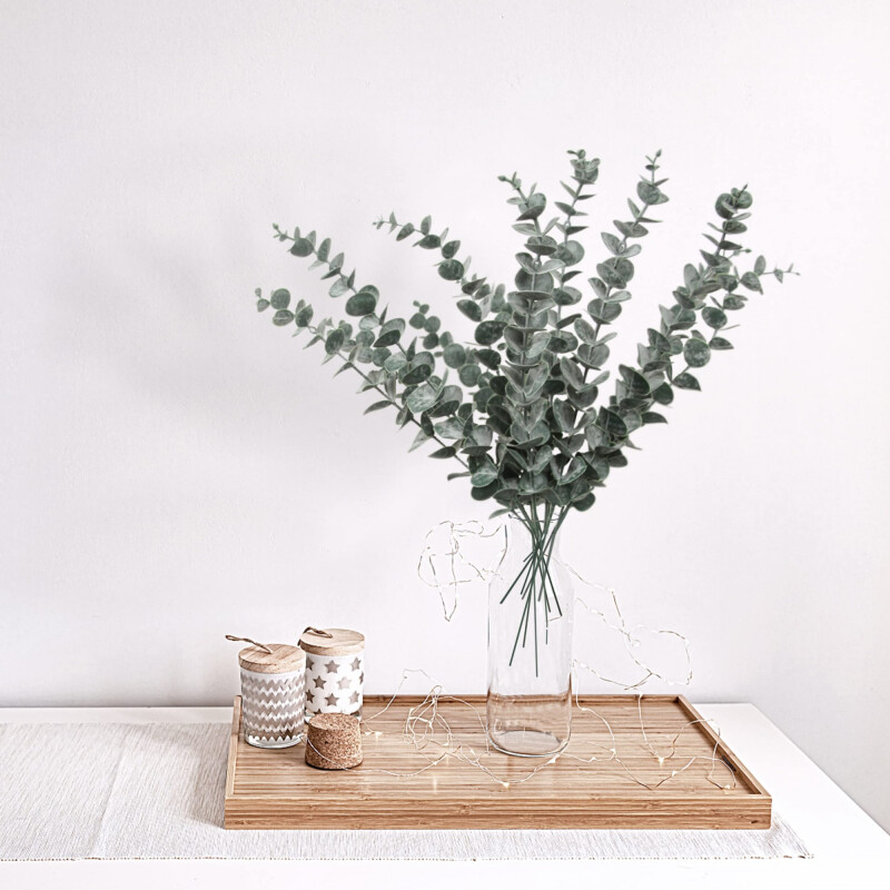 Rama de Eucalipto 5 Puntas Rama de Eucalipto 5 Puntas