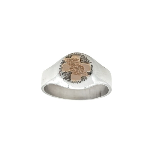 Anillo Profesión Fisioterapeuta - Plata y Oro-Sin Piedra-AP5040 ap5040