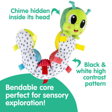 Oruga sensorial Oruga sensorial