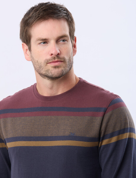 REMERA RAYADA DE ALGODÓN BORDO