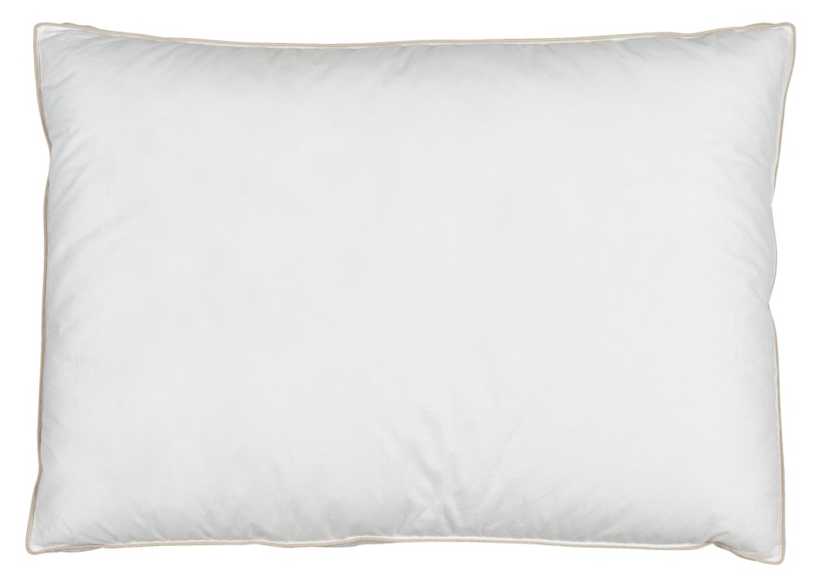Almohada de plumas pato 50x70x5cm NONSNIBBA 