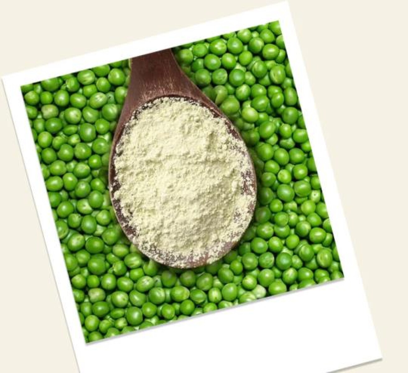 NAT-PROTEINA DE ARVEJA 1K 